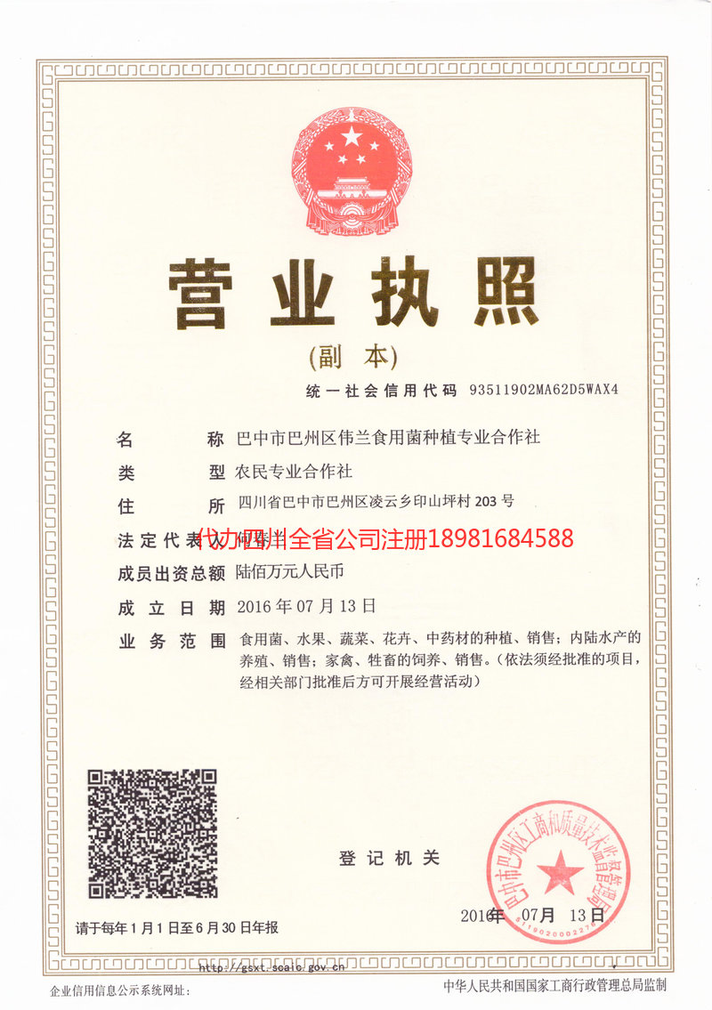 贵阳贵阳伟兰食用菌种植专业合作社